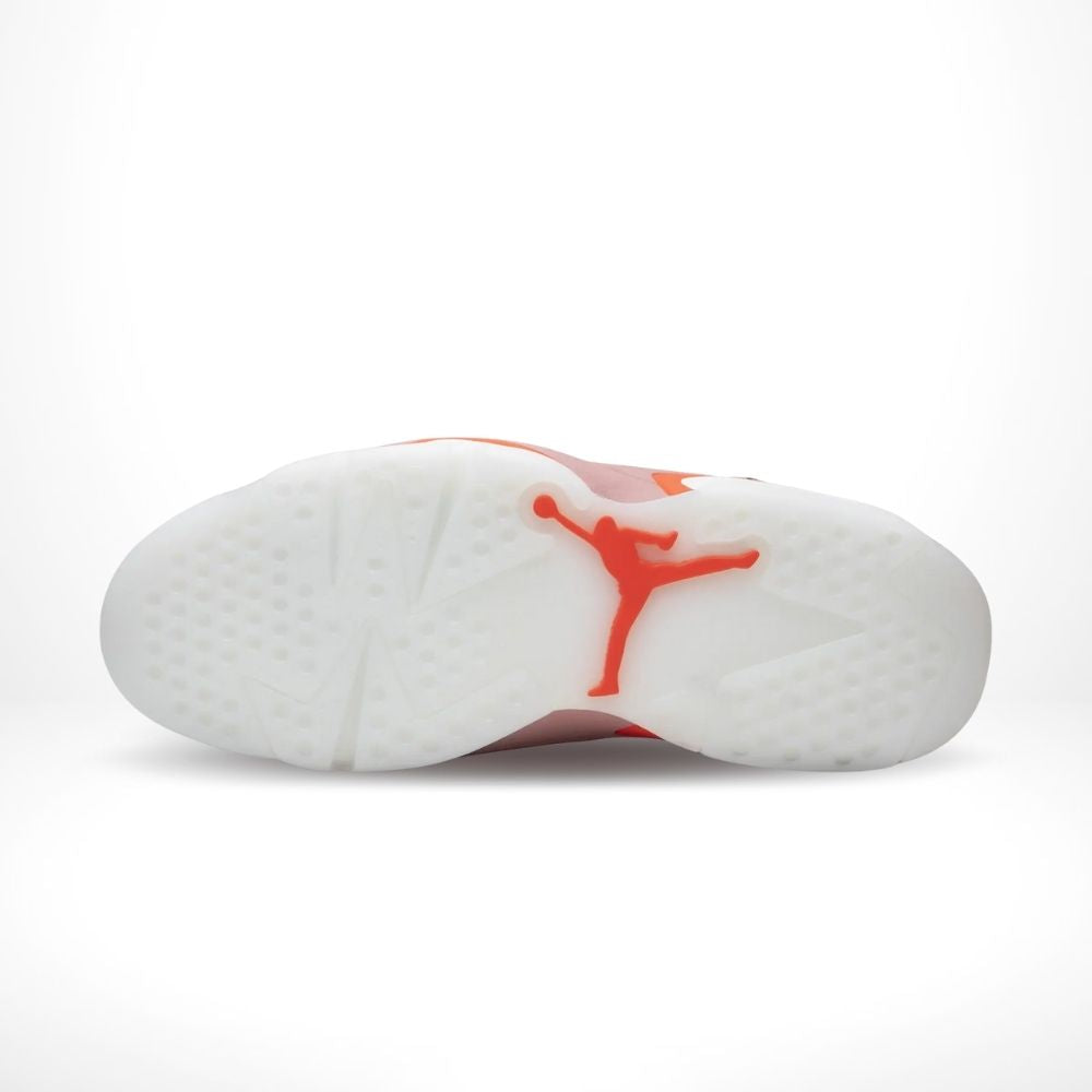 Air Jordan 6 Retro X Aleali May Rust Pink Bright Crimson