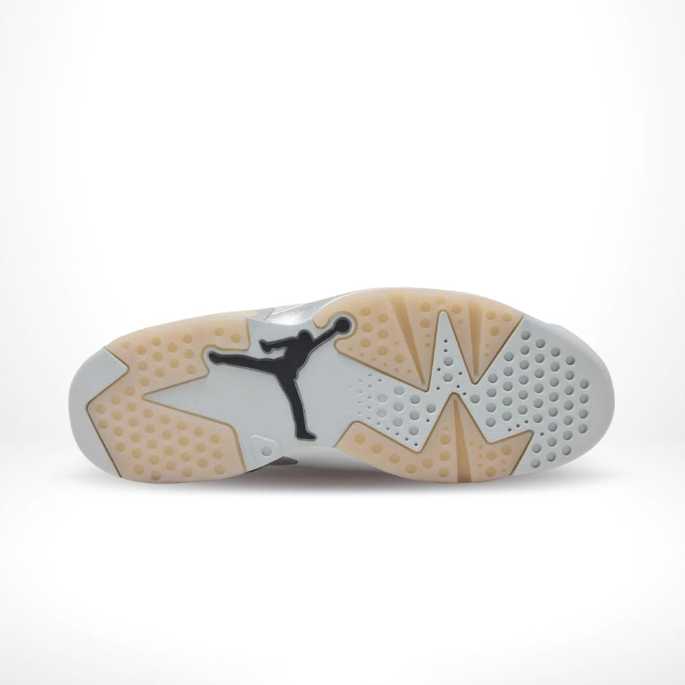 Air Jordan 6 Retro x Paris Saint Germain Silver