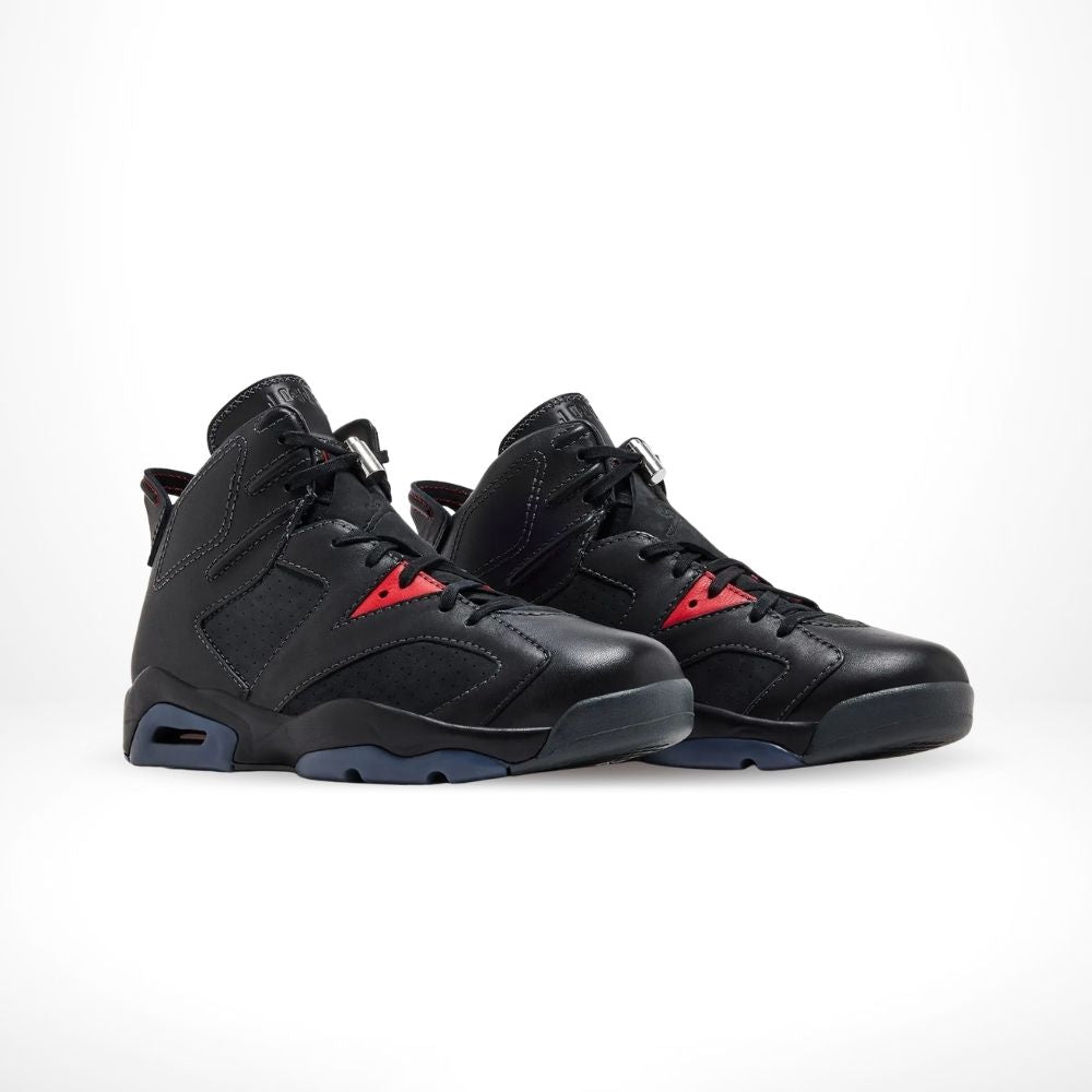 Air Jordan 6 Retro Premio Bin23