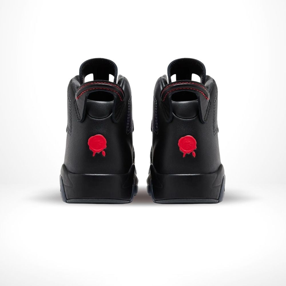 Air Jordan 6 Retro Premio Bin23