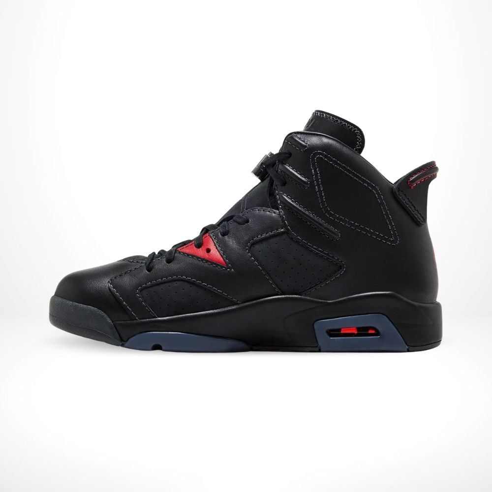 Air Jordan 6 Retro Premio Bin23